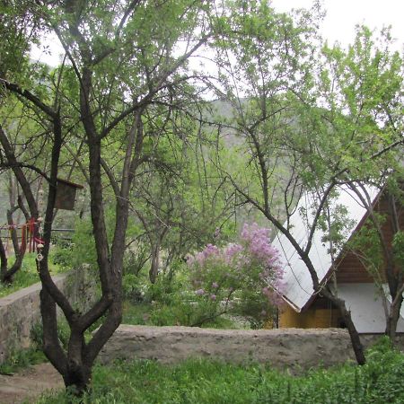 Refugio Coyoacan Villa Guayacan  Kültér fotó